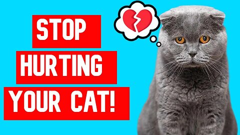 6 Things That Break Your Cat's Heart!