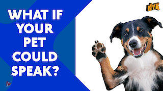 What if your pet could speak?
