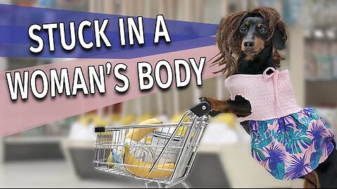 Ep 9. Crusoe Gets Stuck in Mum's Body! - Cute & Funny Dog Video