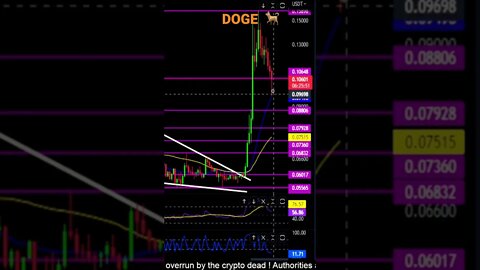 DOGE support to hold and watch! 🐕💎🙌