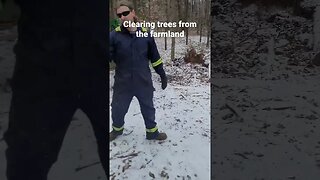 Clearing Trees from the farmland!