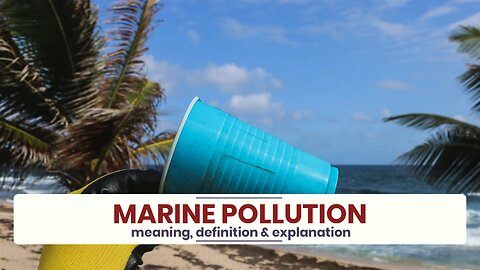 What is MARINE POLLUTION?
