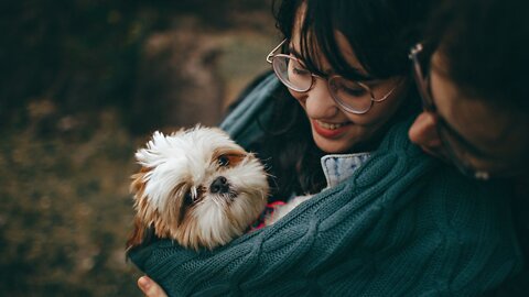 1 in 4 pet owners refer to their pet as their ‘child’