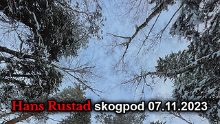 Skogpod 7. november 2023