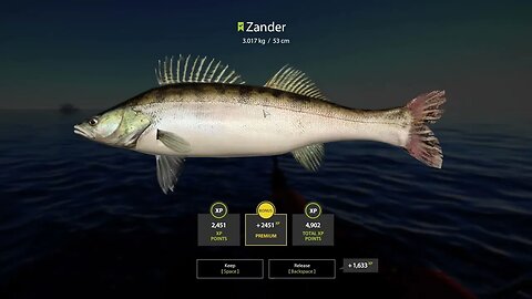 Russian Fishing 4 Ladoga Archipelago Zander 3 . 017 Kg