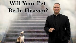 Ask a Marian - Will Our Pets and Other Animals Be in Heaven? Episode 22