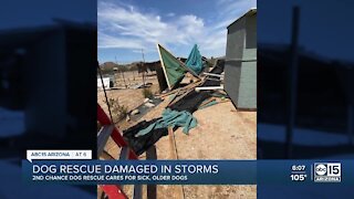 Arizona dog rescue damaged in storms