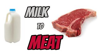 Milk to Meat - Part two