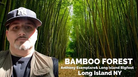 The Bamboo Forest