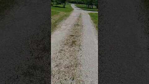 Driveway before the new gravel. at the Farm 🌳 🚜