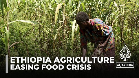 Ethiopia economic challenges: Farmers look for solutions to survive