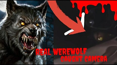 (REAL) Werewolf stalking its kill!!