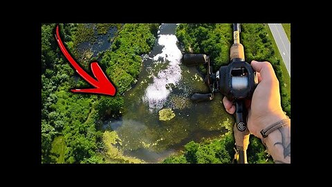 This TINY POND has SO Many Fish!!! (bass fishing)