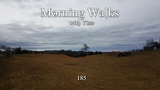 Morning Walks with Yizz 185