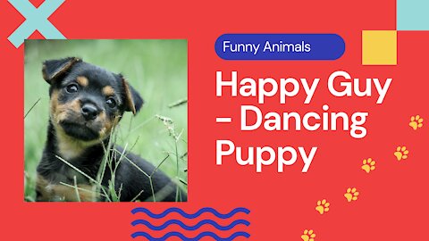 Happy Guy-Puppy Dancing