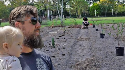 How to Install a Grocery Row Garden and Turn a Lawn into a Long-Term Food Supply