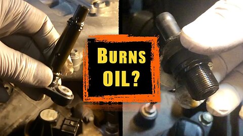 Oil Burning Engine? A Common Culprit and an EASY Fix on Honda & Toyota