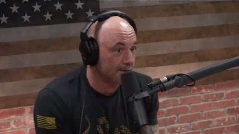 Disinfo Clown Joe Rogan: "It's All These White Kids Stealin' Sneakers"