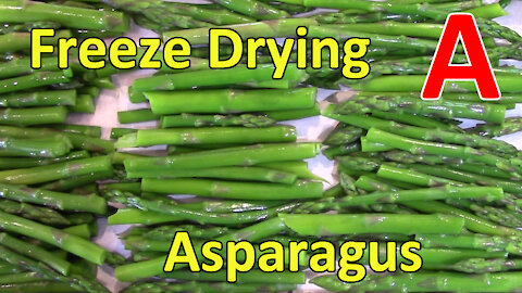 Freeze Drying Asparagus (with a rehydration test)