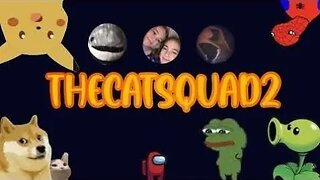 THECATSQUAD2, GOING LIVE IN FIVE!