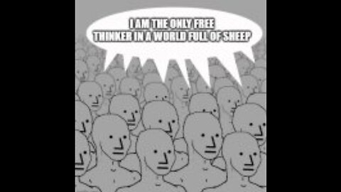 Are you a NPC? Are YOU Programmed? Ask yourself!