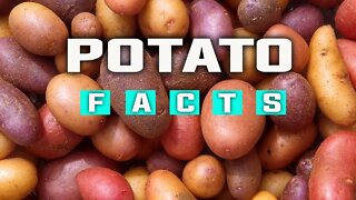 THESE SURPRISING FACTS ABOUT POTATOS WILL BLOW YOUR MIND : | IMPORTANT VEGETABLES | POTATO SPECIES