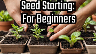 Secrets to Growing Plants from Seeds
