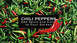 CHILI PEPPERS: Add Spice and Color to Your Garden