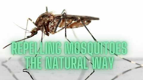 Repelling Mosquitoes the Natural Way
