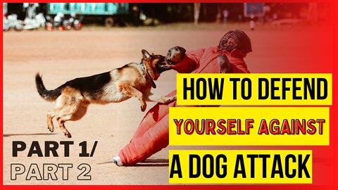 How to Defend yourself against Dog attack part 1&2