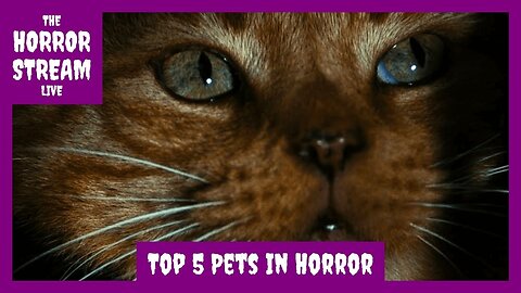Top 5 Pets In Horror Movies [Horror Society]