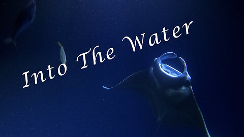 Into The Water - A Night Dive with Manta Rays