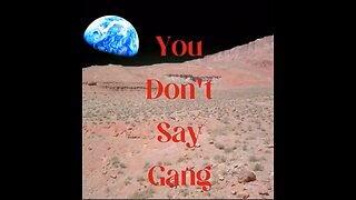 You Don't Say Gang ~~~~ July 10 2024