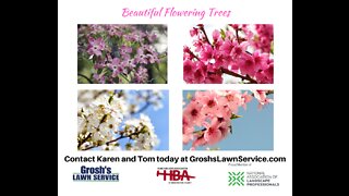 Flowering Trees Hagerstown Maryland Landscape Contractor