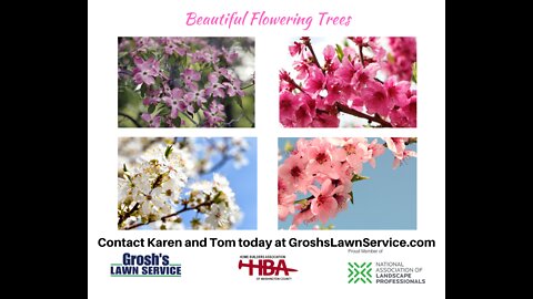 Flowering Trees Hagerstown Maryland Landscape Contractor