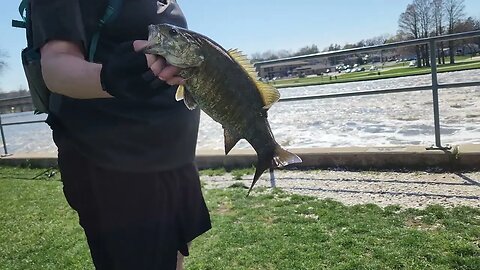 Bass fishing the FOX river. S elgin dam part 1 of 2