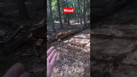 Check out my wood... #wood #hike #funny #shorts
