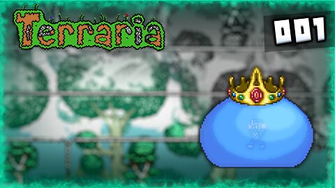 TERRARIA #01