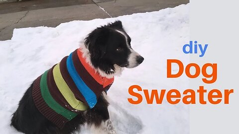 DIY Dog Sweater: Sewing Machine and Serger Instructions