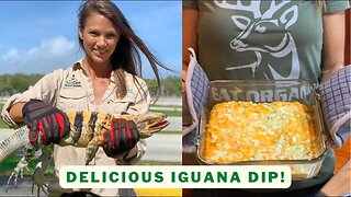 Spinytail Iguana Catch and Cook, Buffalo Iguana Dip | Episode 5 - It's A Wild Life