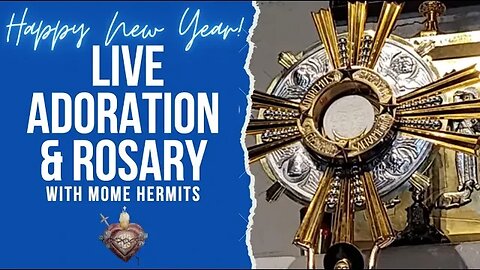 Live Adoration Rosary this 7th Christmas Day to usher in the New Year!