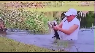 Hero Florida man saves puppy spaniel from jaws of alligator whilst smoking a cigar