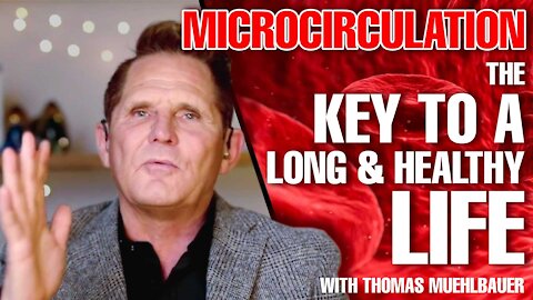Microcirculation - The Key To A Long & Healthy Life With Thomas Muehlbauer