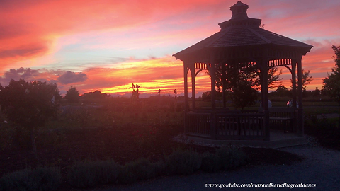 Statue Garden Sunset at Huff Estates Winery in Prince Edward County Ontario