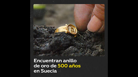 Hallan un anillo de oro impecable de 500 años en Suecia