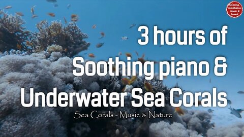 Soothing music with piano and underwater sound for 3 hours, calming music for work & study