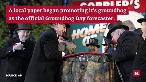 Punxsutawney Phil sees his shadow | Rare News