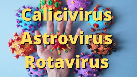 GASTROENTERITIS Calicivirus Astrovirus Rotavirus