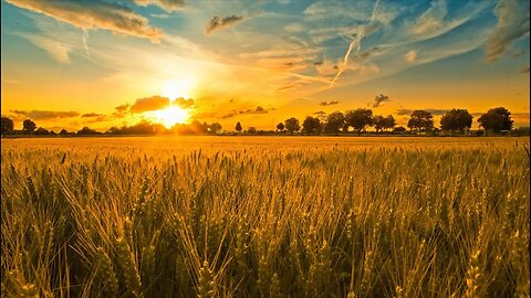 Harvest time.