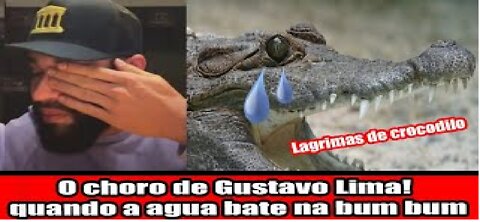 O choro de Gustavo Lima! Lagrima de crocodilo quando a agua bate na bum bum